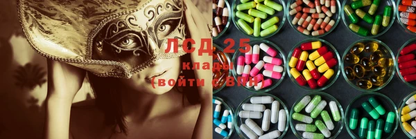 ПСИЛОЦИБИНОВЫЕ ГРИБЫ Белокуриха