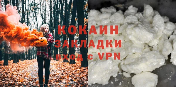 индика Пересвет