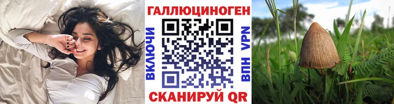 гидра зеркало  Бородино  Псилоцибиновые грибы мицелий 