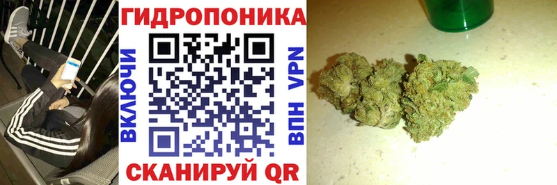кракен как войти  Бородино  Шишки марихуана SATIVA & INDICA 